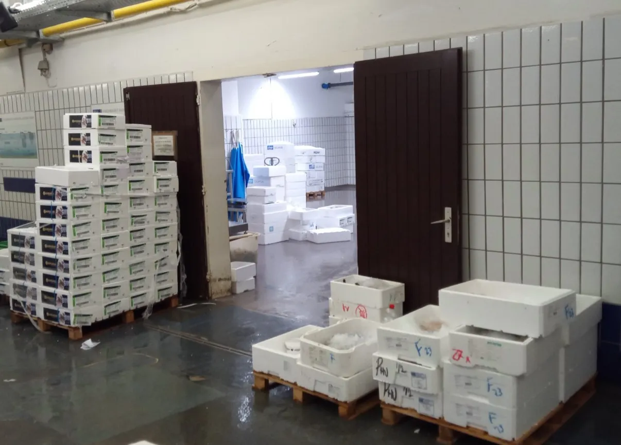 Polystyrol Verpackungslösungen für die Industrie